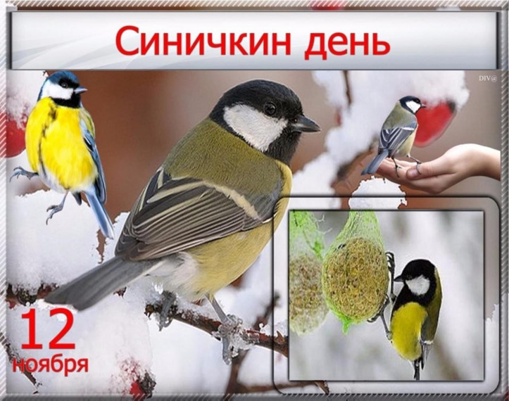 Синичкин день.